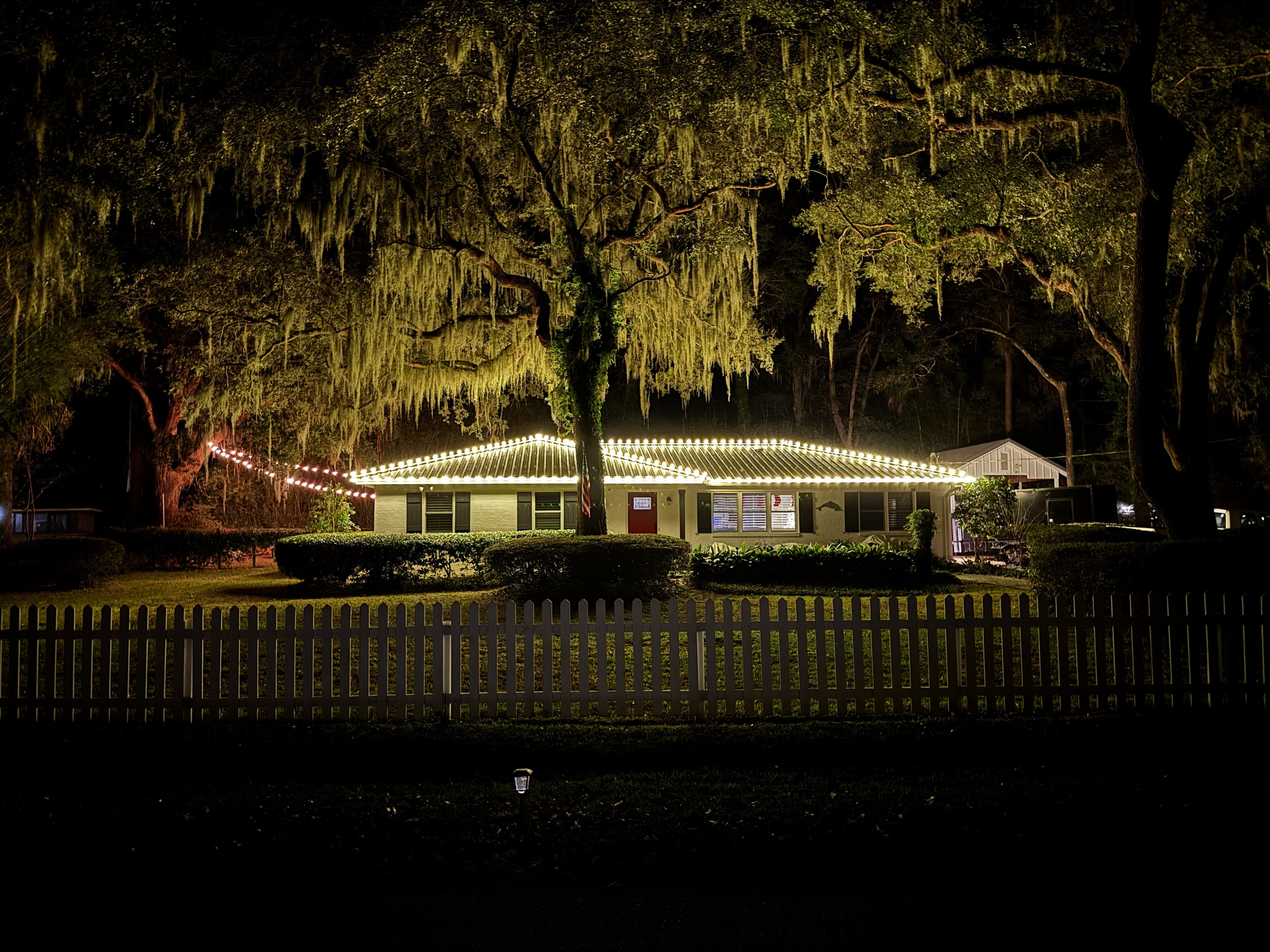 Professional holiday lighting installation 1