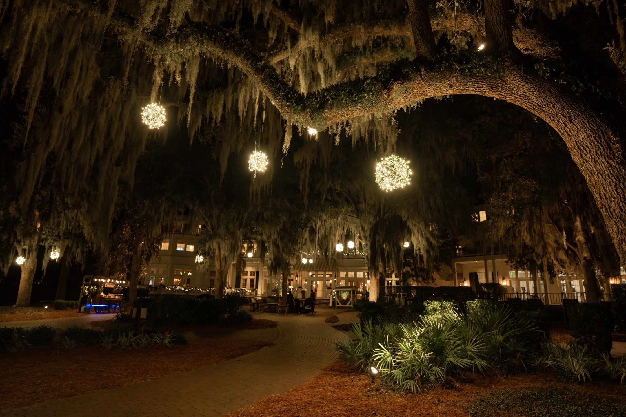 Professional holiday lighting installation 10