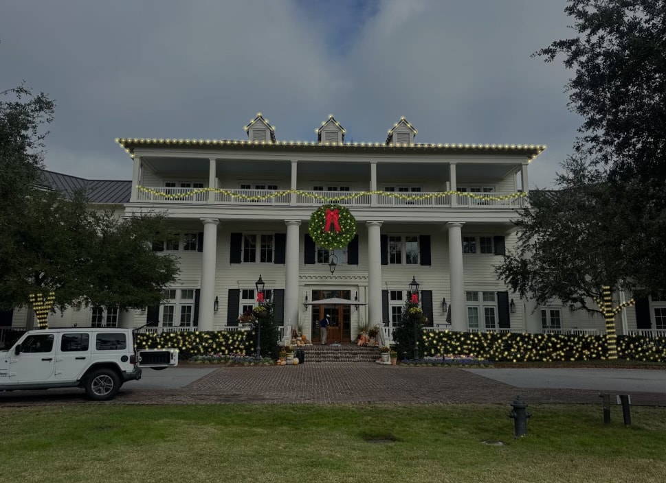 Professional holiday lighting installation 11