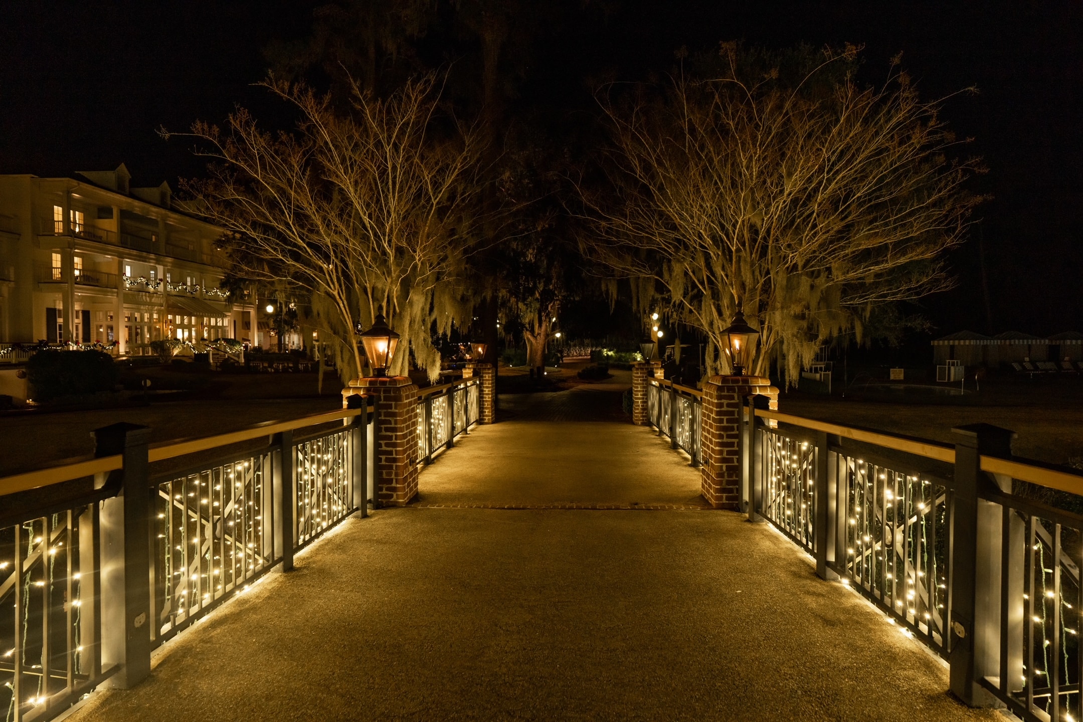 Professional holiday lighting installation 2