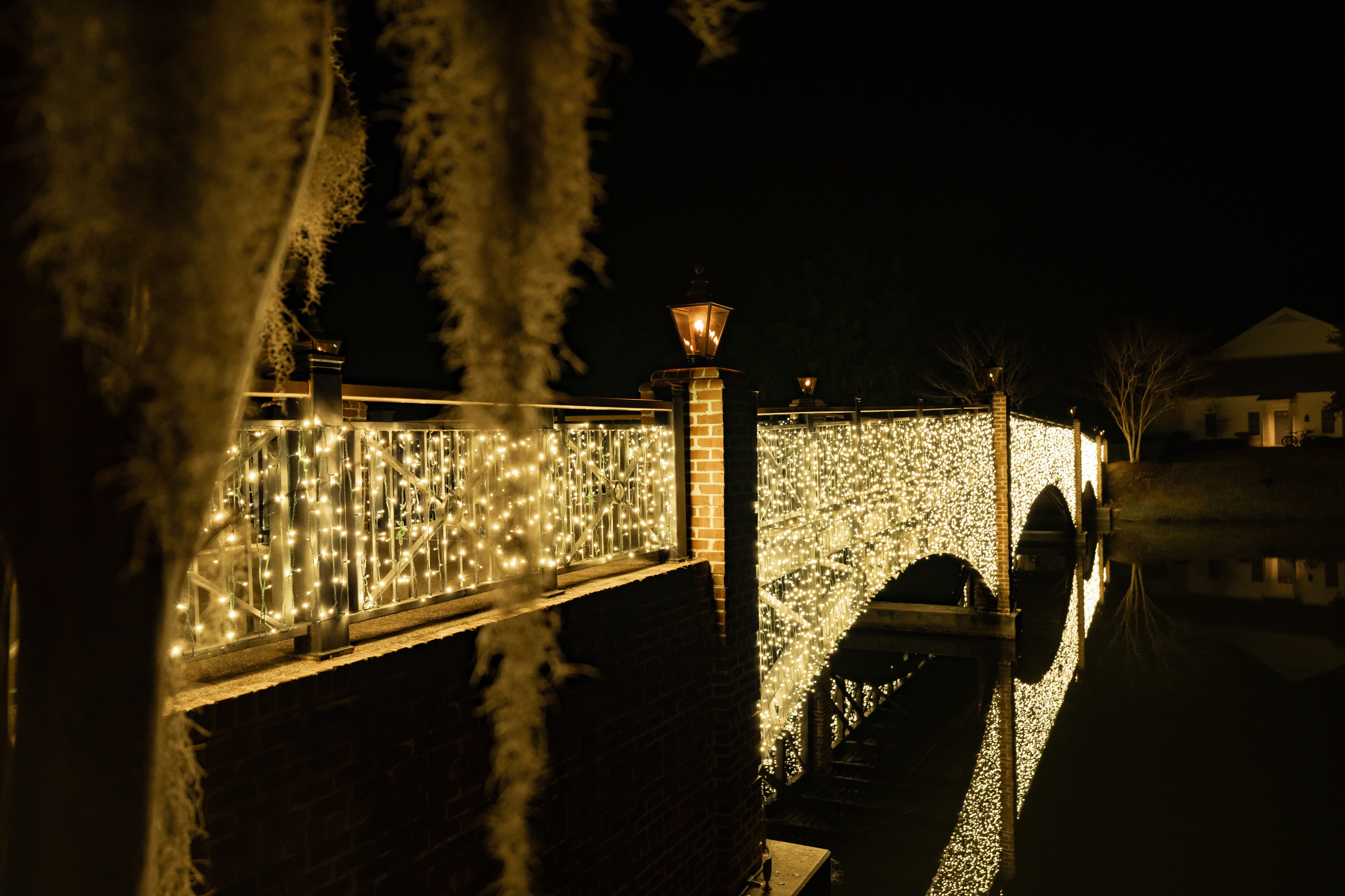 Professional holiday lighting installation 6