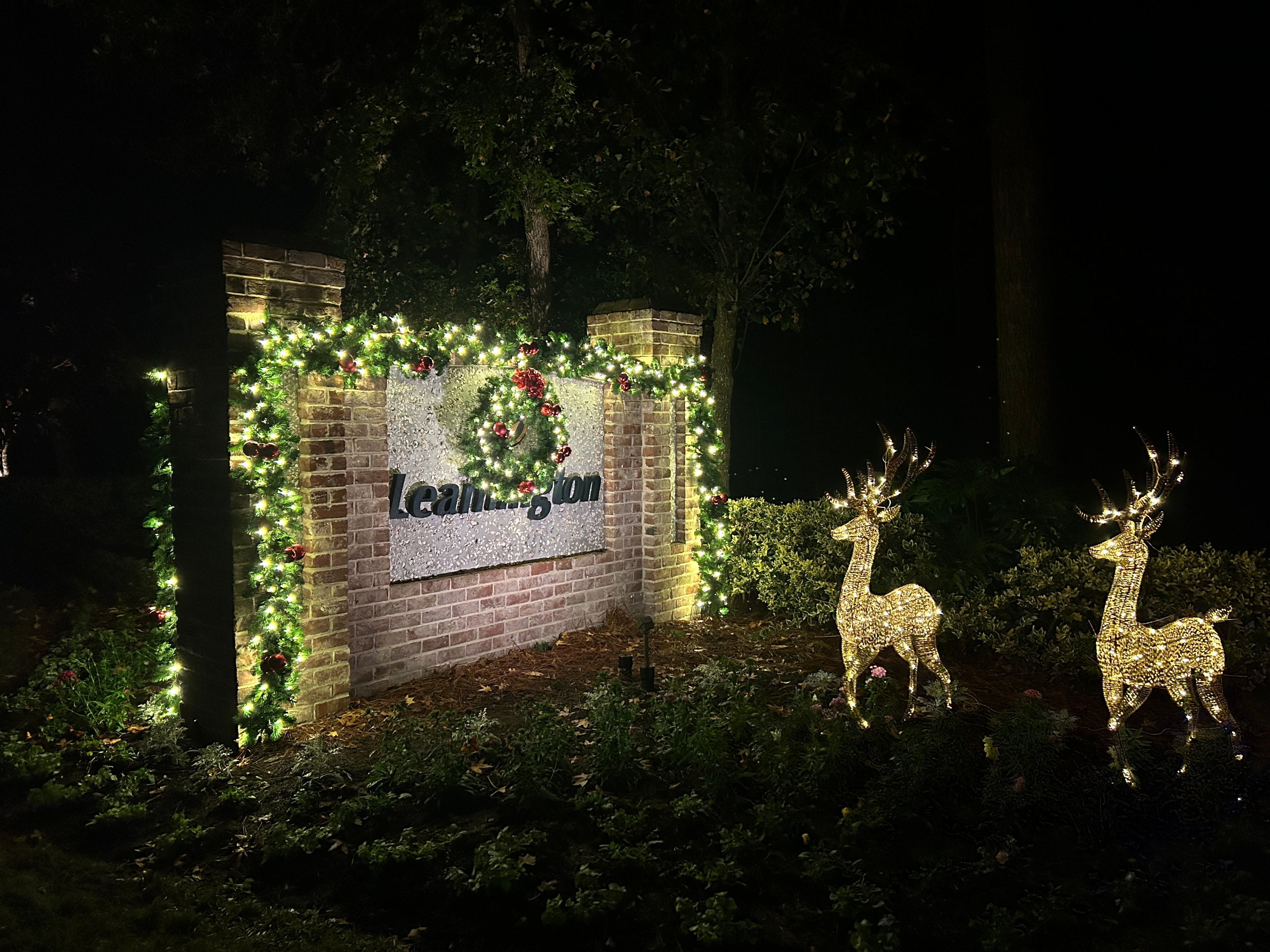 Professional holiday lighting installation 9
